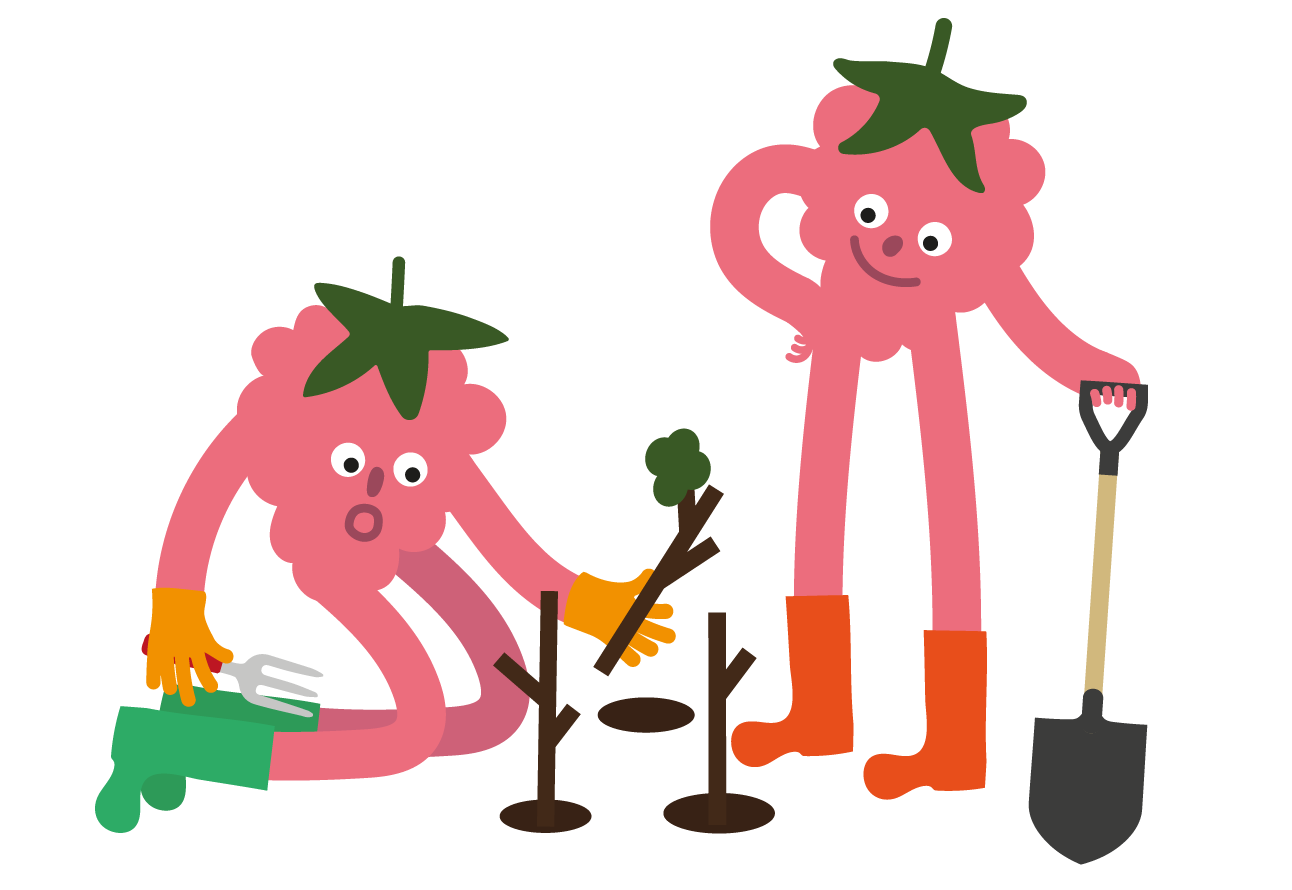 Why we plant trees